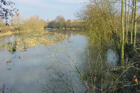 la Clarence  Marles  ---> Cliquer pour agrandir